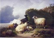 Sheep 157 unknow artist